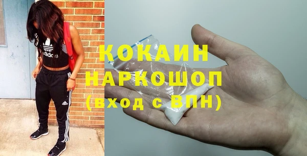 тгк Абаза