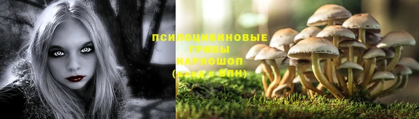 крисы Алзамай