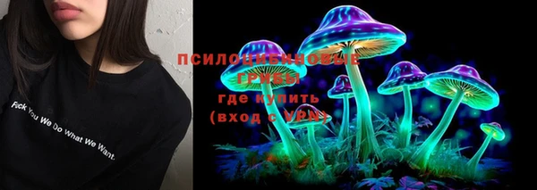 дмт Алексеевка
